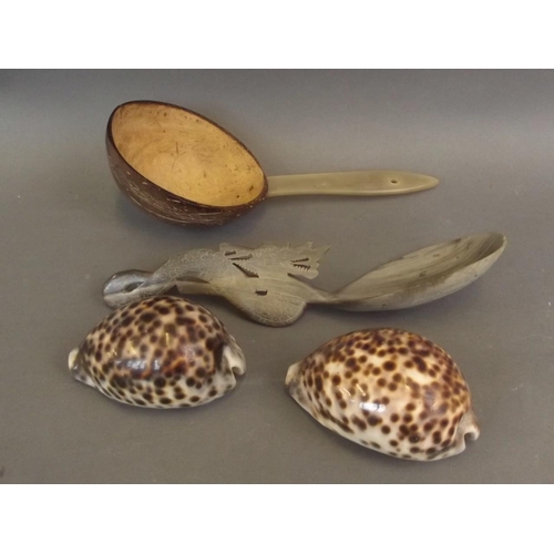 50H - A coconut and horn ladle, a carved horn ladle, and two decorative shells, 9