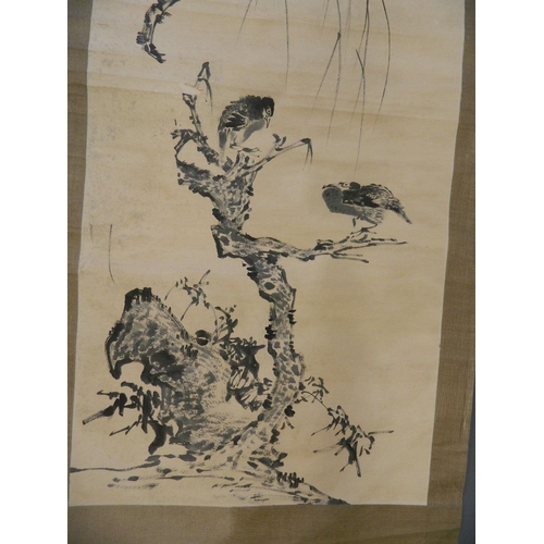 42 - A Chinese monochrome watercolour scroll depicting two birds perched on a branch, 25½