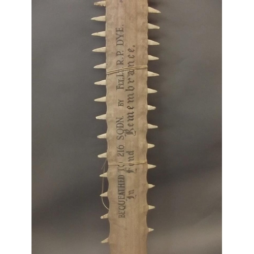 200 - An early Sawfish rostrum, bears legend 'Bequeathed to 216 Squadron by Fleet Lt. R.P. Dye in fond rem... 