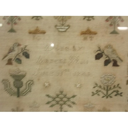 50L - A mid C19th sampler with butterflies and birds within a stylised floral border, 'done by Agness Hill... 