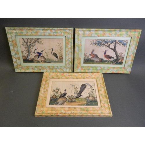 629 - A collection of three Chinese watercolours on rice paper depicting exotic birds, 11