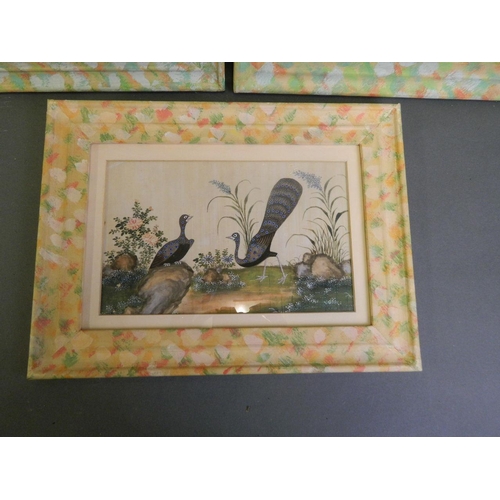 629 - A collection of three Chinese watercolours on rice paper depicting exotic birds, 11