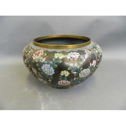 208 - A large C19th Chinese black ground lobed cloisonné jardinière decorated with butterflies amongst pla... 