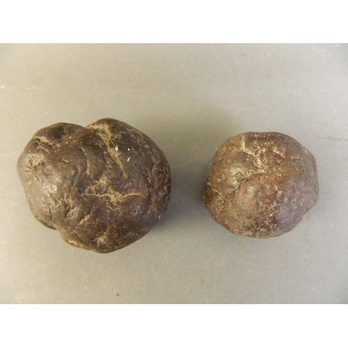 260 - Two pieces of coprolite, largest 3½