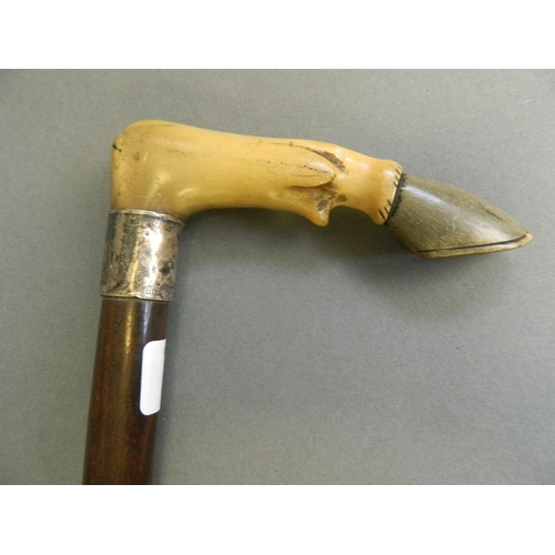 307 - A horn handled hardwood walking cane carved in the form of a hoof with white metal collar, 33½