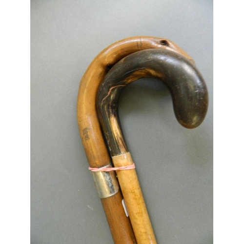 309 - A horn handled walking stick, together with a substantial Hedgerow walking stick with silver present... 