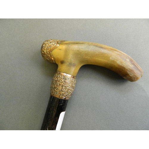 311 - A horn handled ebonised walking cane with 15ct gold collar and embellishment, 35½