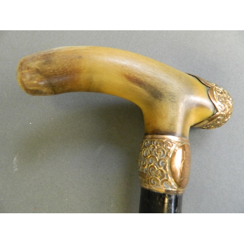 311 - A horn handled ebonised walking cane with 15ct gold collar and embellishment, 35½