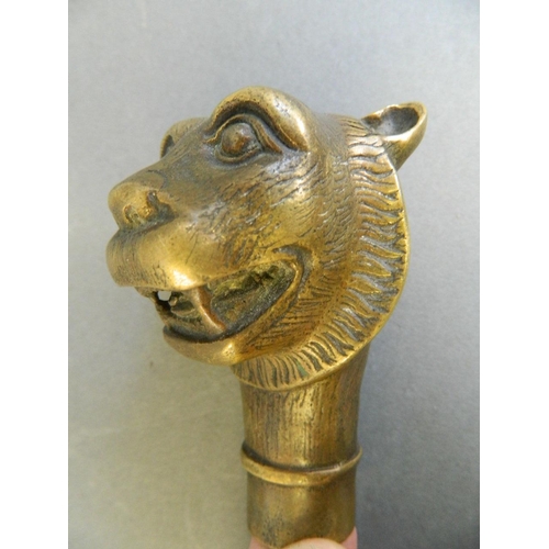 482 - A brass walking stick handle in the form of a lion, 3