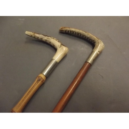 50T - A child's cane, together with a horn handled riding crop, and another similar, 19