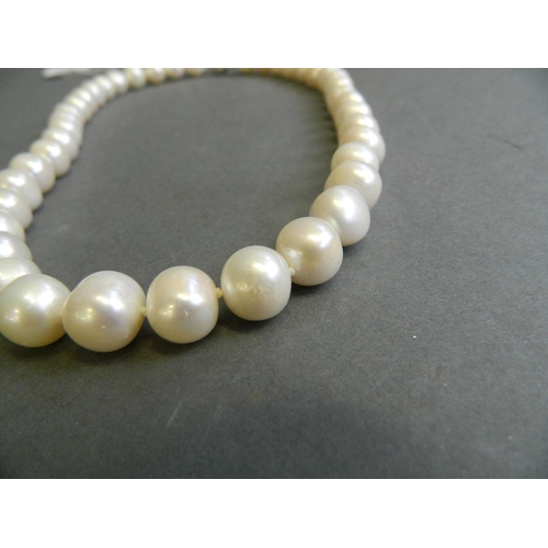 550 - A cultured pearl necklace, 18