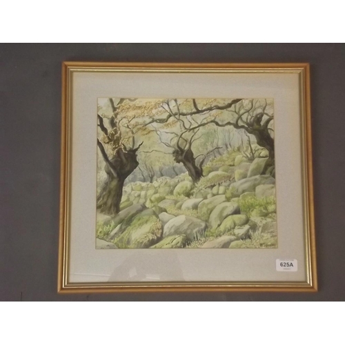 625A - M. Spooner, watercolour, forest landscape, signed, 11