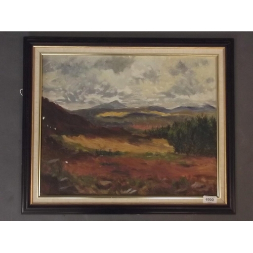 650D - Stanley Nowell, oil on board, Welsh moorland, signed, 16