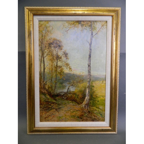 650Z - An oil on artist's board, River Severn at Arley, 16