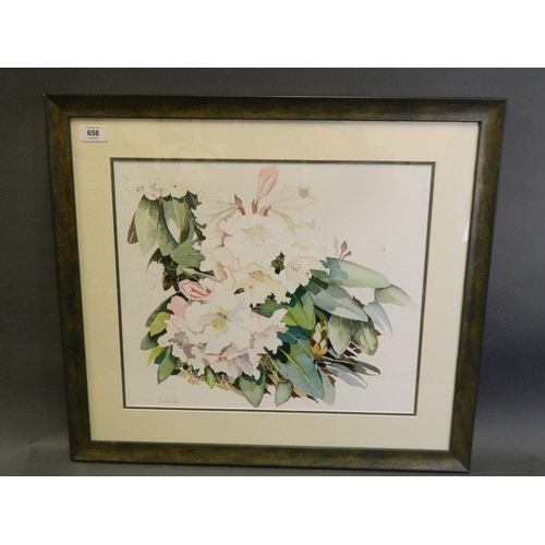 658 - Jackie Cox, 'Garden Flowers III', watercolour still life of rhododendrons, 17½