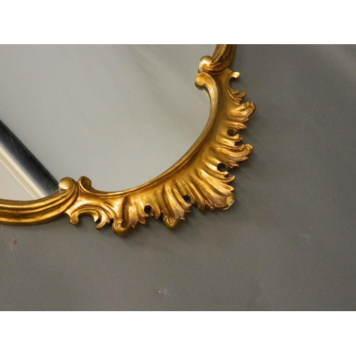 719 - A Continental Rococo style gilt wood pier glass, 24