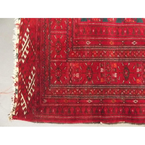 876 - An Afghan carpet with geometric design on a red ground, 36½