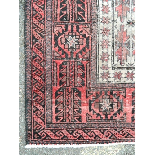 877 - An antique Afghan Belouche tribal rug with a red and ebony border, 36½