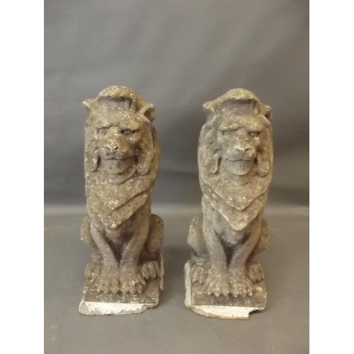 915 - A pair of reconstituted stone lions, 30