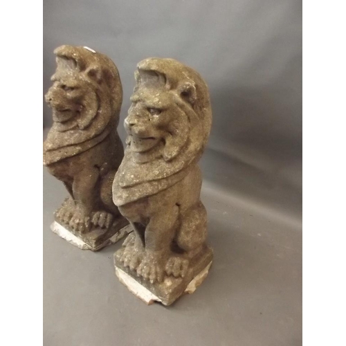 915 - A pair of reconstituted stone lions, 30