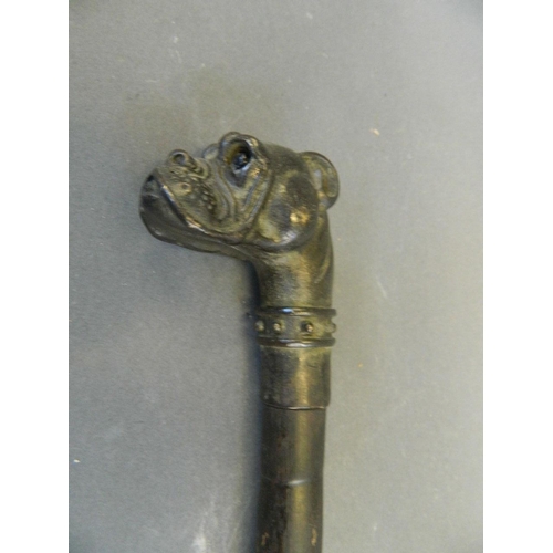 203 - A bronze handled faux bamboo walking stick in the form of a boxer dog with inset glass eyes, 34