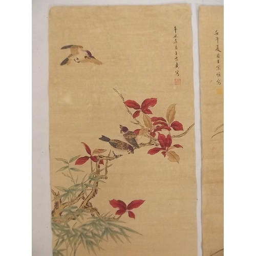 50J - A Chinese watercolour scroll depicting birds amongst foliage, and another decorated with waterfowl, ... 