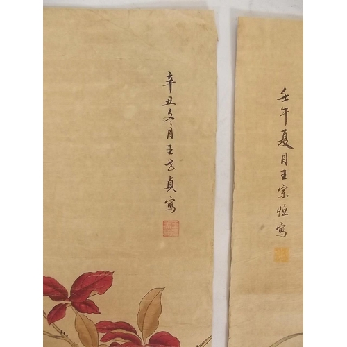 50J - A Chinese watercolour scroll depicting birds amongst foliage, and another decorated with waterfowl, ... 