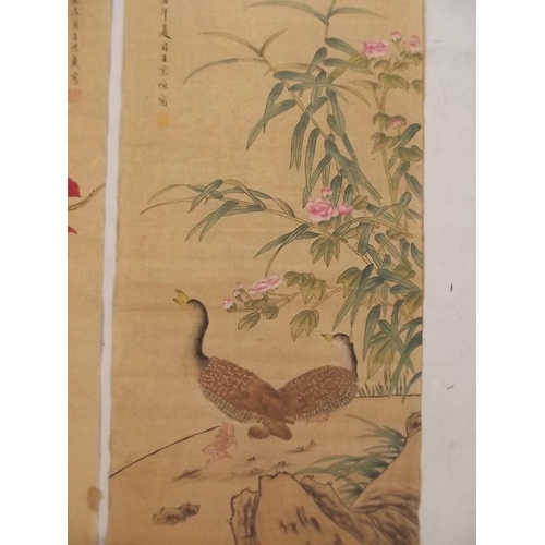 50J - A Chinese watercolour scroll depicting birds amongst foliage, and another decorated with waterfowl, ... 