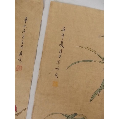 50J - A Chinese watercolour scroll depicting birds amongst foliage, and another decorated with waterfowl, ... 