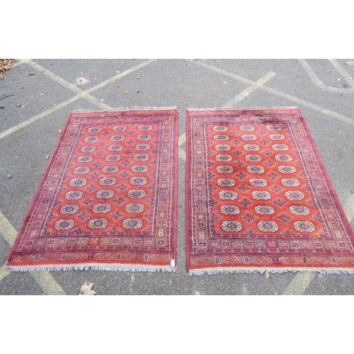 1171 - A pair of rust ground wool rugs with a Bokhara design, 52