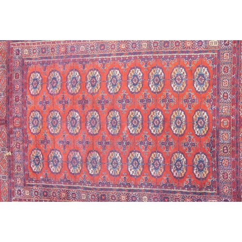 1171 - A pair of rust ground wool rugs with a Bokhara design, 52