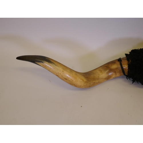 41 - A pair of buffalo horns on a wood mount, 74