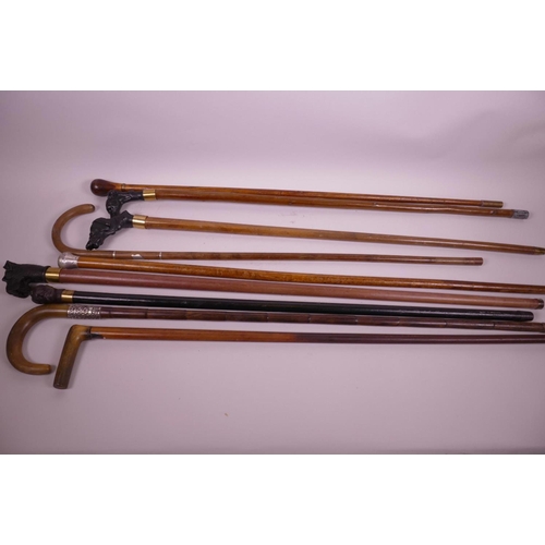 162 - A collection of nine various walking sticks, three with composition dog's head handles, one with hor... 