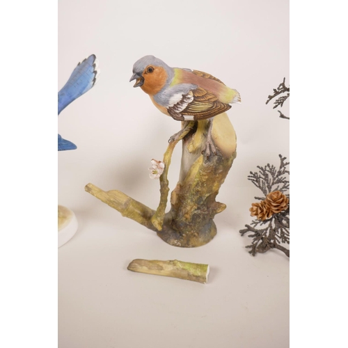 47 - A collection of five Coalport porcelain birds to include chaffinch, blue jay, wrens, blue tit etc, A... 