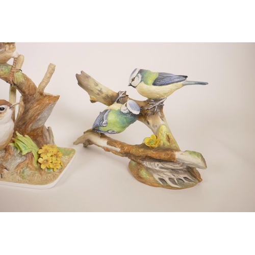 47 - A collection of five Coalport porcelain birds to include chaffinch, blue jay, wrens, blue tit etc, A... 