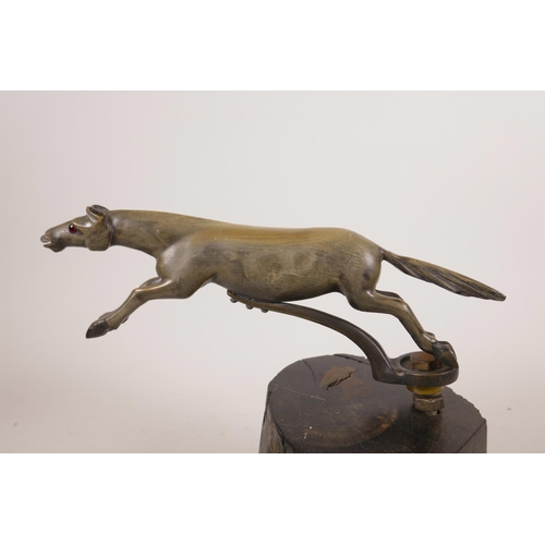 347 - An early C20th carved horn (possibly Rhino) car mascot in the form of a leaping horse, with brass mo... 