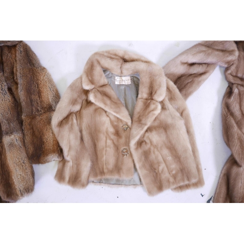 34 - A mink fur jacket by Maurice Delody furs of Park Lane, a mink coat, and a musquash fur coat