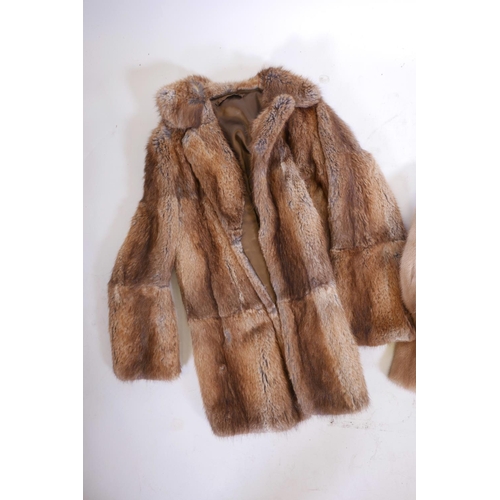 34 - A mink fur jacket by Maurice Delody furs of Park Lane, a mink coat, and a musquash fur coat