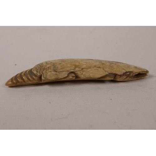 49 - A carved horn figure of an alligator, 4