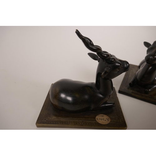 50 - A pair of horn figures of recumbent antelope, on horn bases, 4½