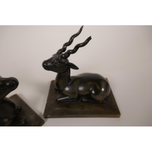 50 - A pair of horn figures of recumbent antelope, on horn bases, 4½