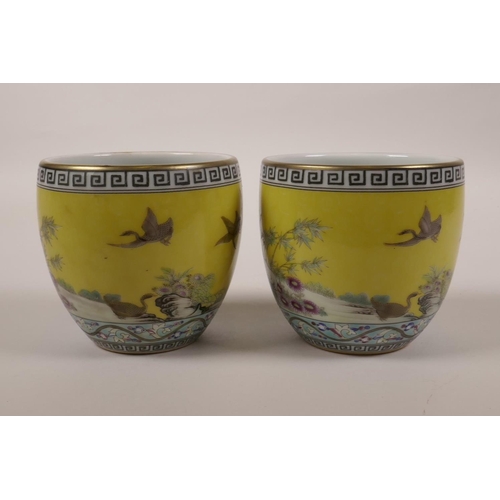 28 - A pair of Chinese yellow ground porcelain tea bowls decorated with polychrome enamels of waterfowl, ... 