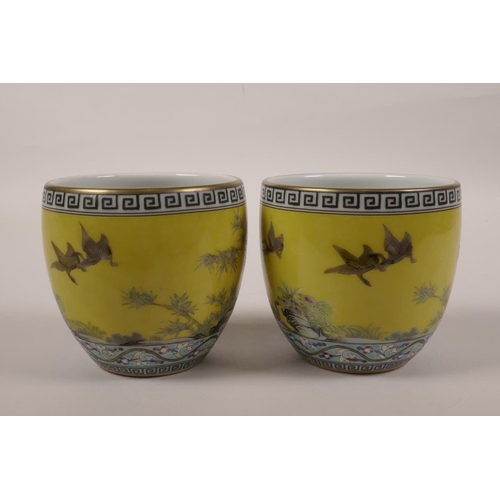 28 - A pair of Chinese yellow ground porcelain tea bowls decorated with polychrome enamels of waterfowl, ... 