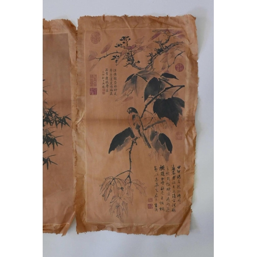 22 - Two Chinese pictures of bamboo and birds, signed with calligraphy and seal marks, 26