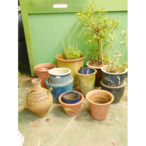 1143 - A quantity of terracotta garden pots including a bay tree