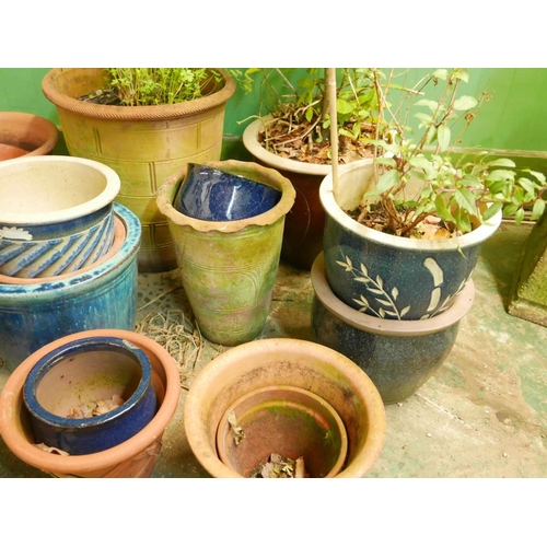 1143 - A quantity of terracotta garden pots including a bay tree