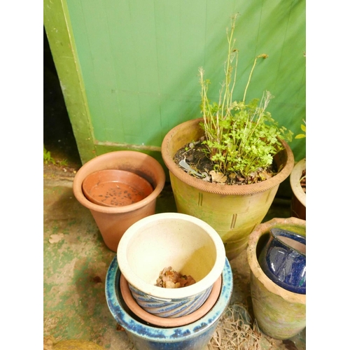 1143 - A quantity of terracotta garden pots including a bay tree