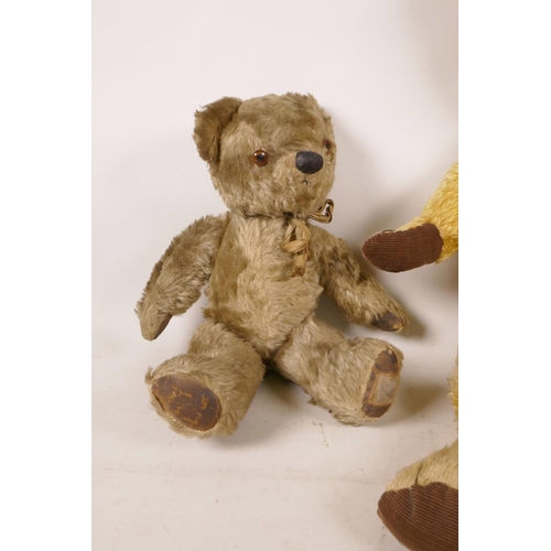 555 - A vintage Chad Valley teddy bear and another teddy, largest 23½