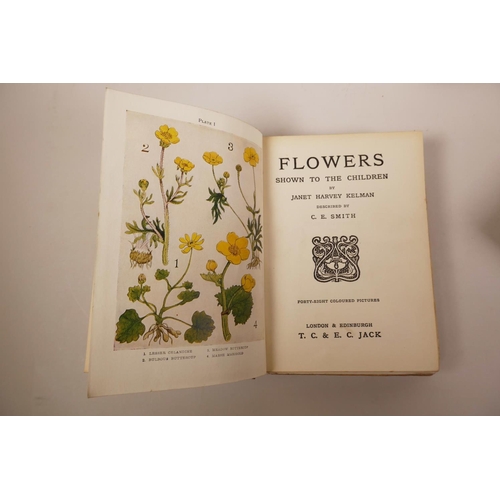 29 - Three books in the 'Shown to the Children' series, edited by Louey Chisholm on 'Flowers', 'The Sea-S... 