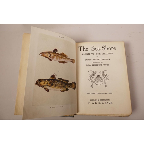 29 - Three books in the 'Shown to the Children' series, edited by Louey Chisholm on 'Flowers', 'The Sea-S... 